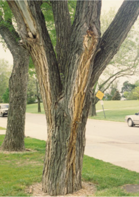 f31a4bd8f83c33c36d7dcfc89d2a7c0e85f1fa52(1)